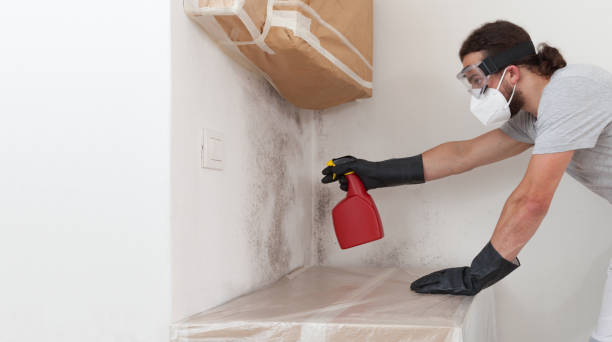 Professional Crawl Space Mold Removal technician working in New Freedom, PA