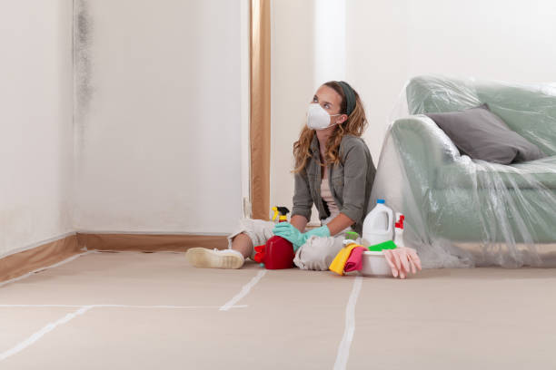 Reliable Crawl Space Mold Removal contractor in New Freedom, PA by WQB Mold Removal